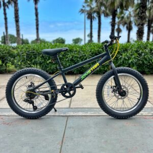 Bicicleta Joystar Aro 20 Montañera Mini Fat Bike Monster